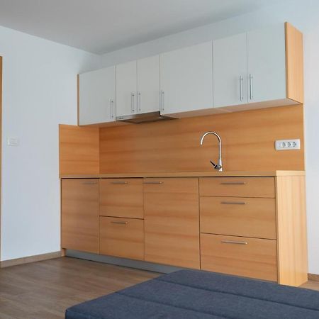 Pjagodic Apartments & Wellness Cerklje na Gorenjskem Exteriör bild